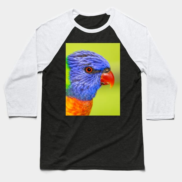 Rainbow Lorikeet Baseball T-Shirt by Upbeat Traveler